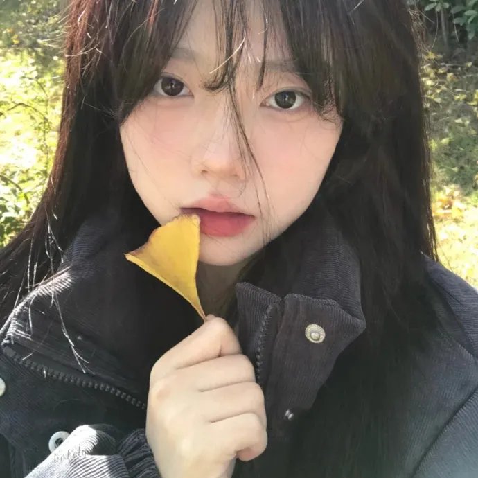雾中湖